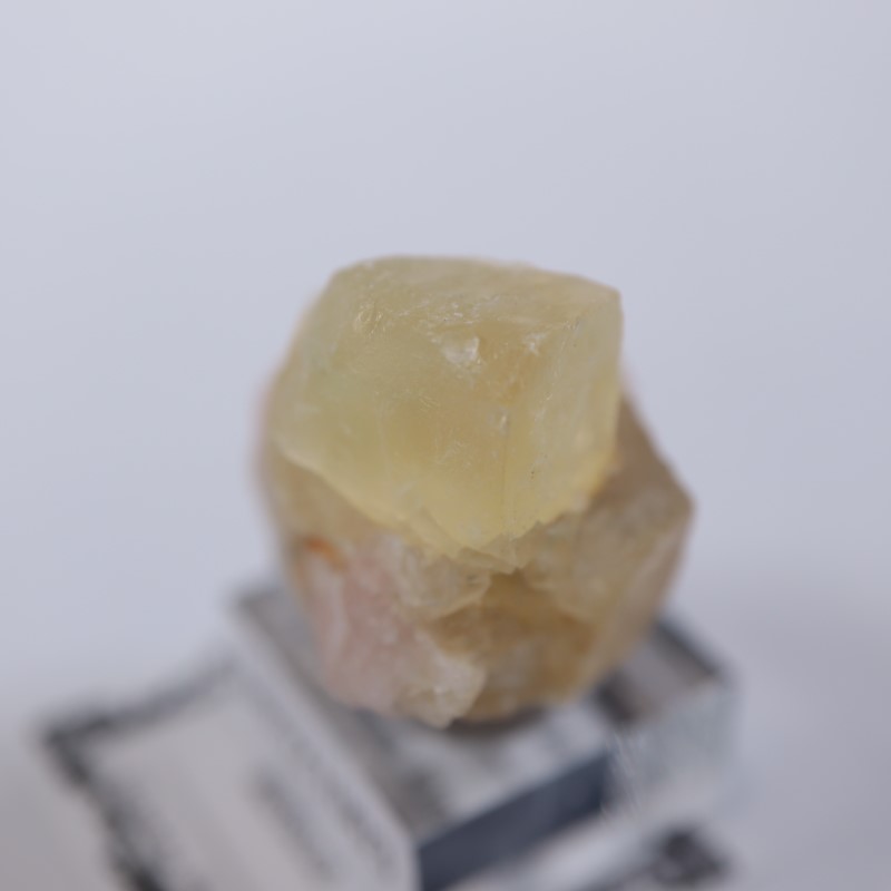 El Hammam�ۻ����ե����饤��