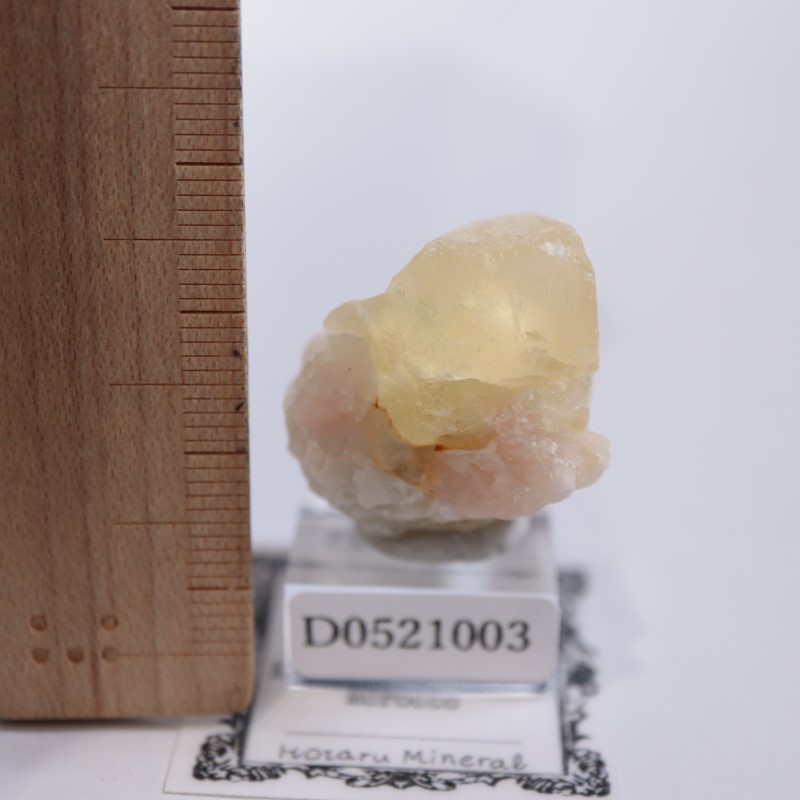 El Hammam�ۻ����ե����饤��