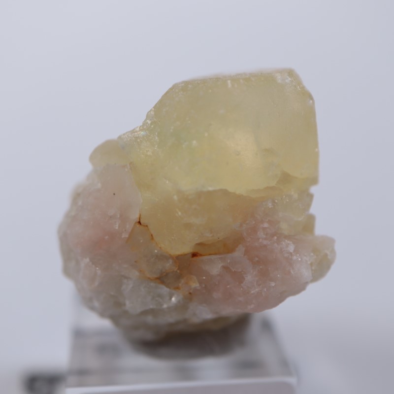 El Hammam�ۻ����ե����饤��