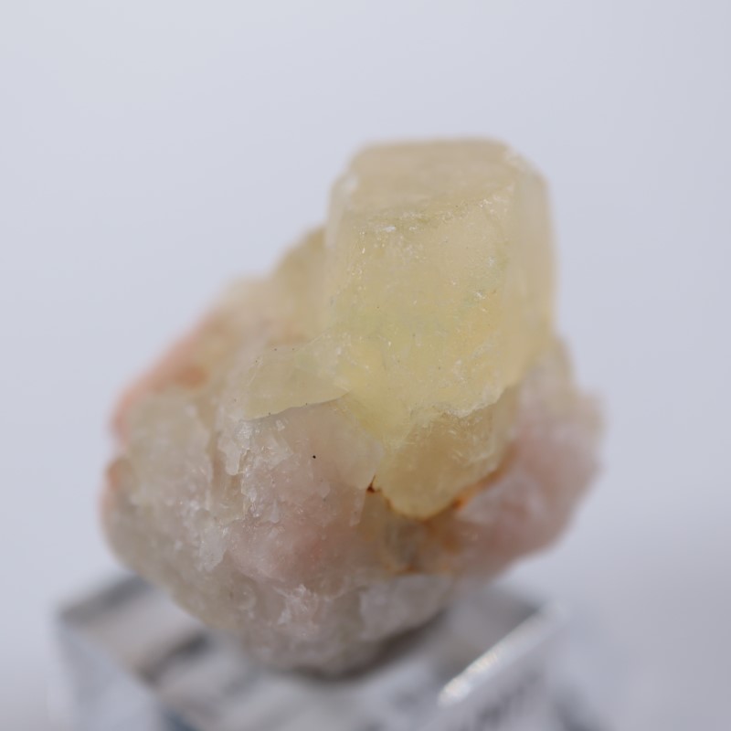 El Hammam�ۻ����ե����饤��