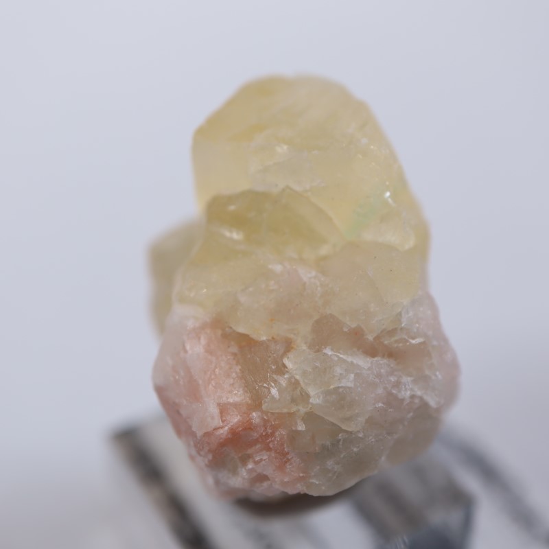 El Hammam�ۻ����ե����饤��