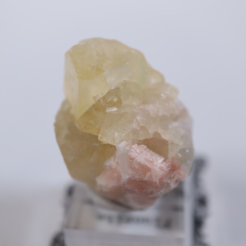 El Hammam�ۻ����ե����饤��