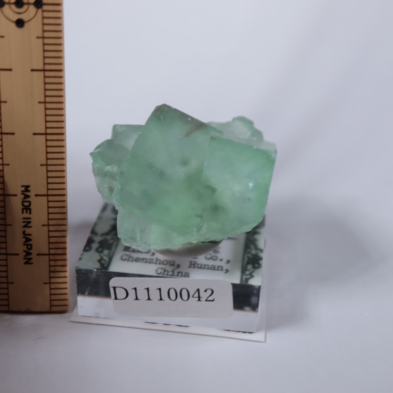 シャンファーリン！グリーンフローライト原石特大⭐️水晶スファラライト共生N105 シャンファーリン産】グリーンフローライト原石 ｜中国湖南省