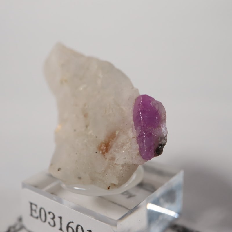 �ѥ������󻺡���ӡ�