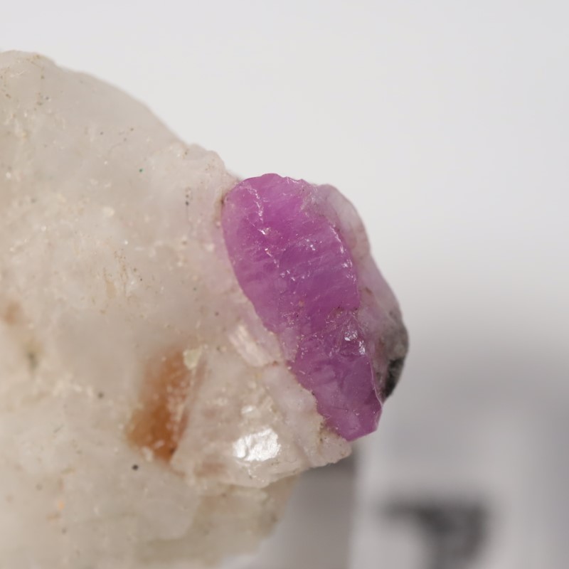 �ѥ������󻺡���ӡ�