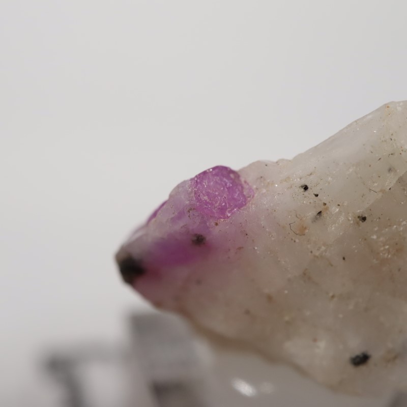 �ѥ������󻺡���ӡ�