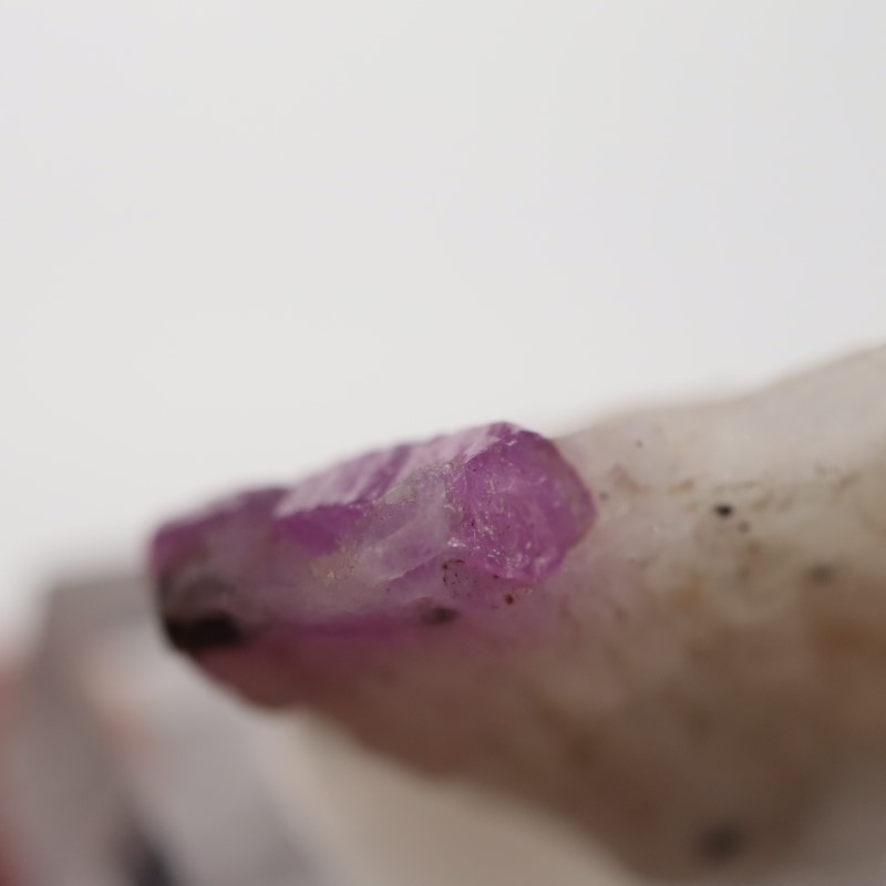 �ѥ������󻺡���ӡ�