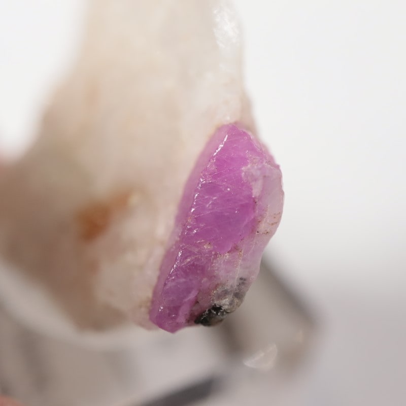 �ѥ������󻺡���ӡ�