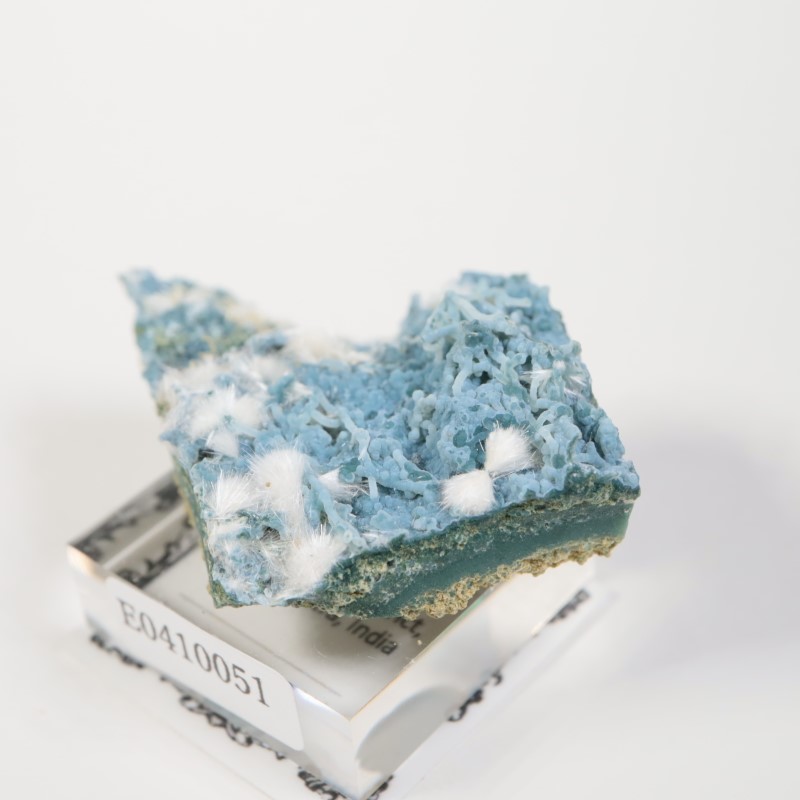 Aurangabad�����֥롼���륻�ɥˡ������ǥʥ���