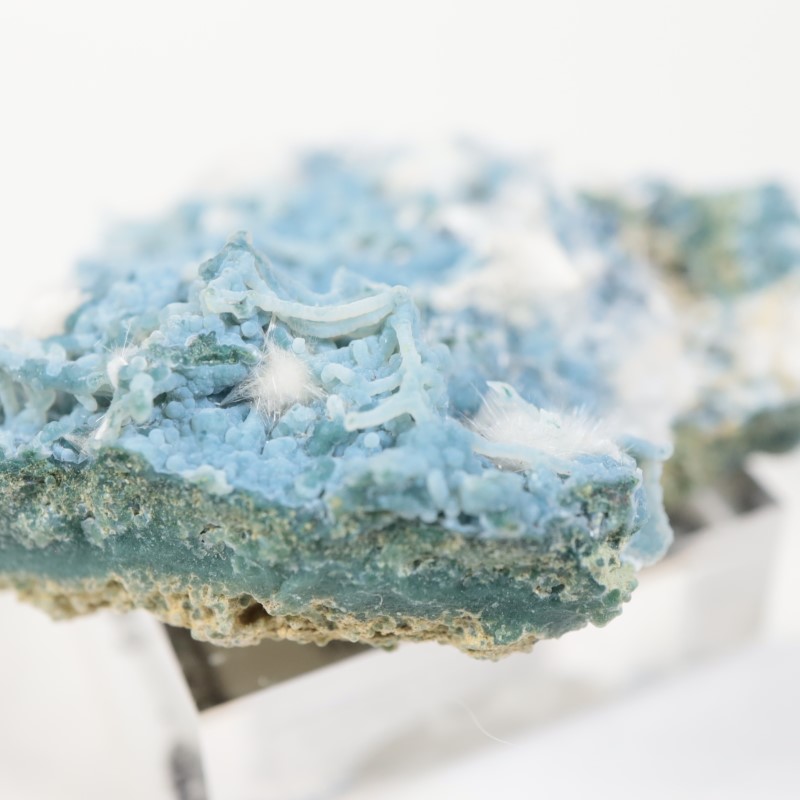 Aurangabad�����֥롼���륻�ɥˡ������ǥʥ���