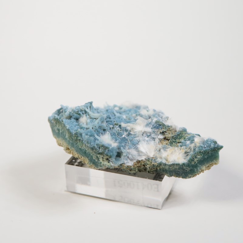 Aurangabad�����֥롼���륻�ɥˡ������ǥʥ���