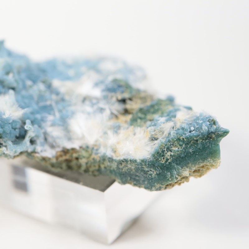 Aurangabad�����֥롼���륻�ɥˡ������ǥʥ���