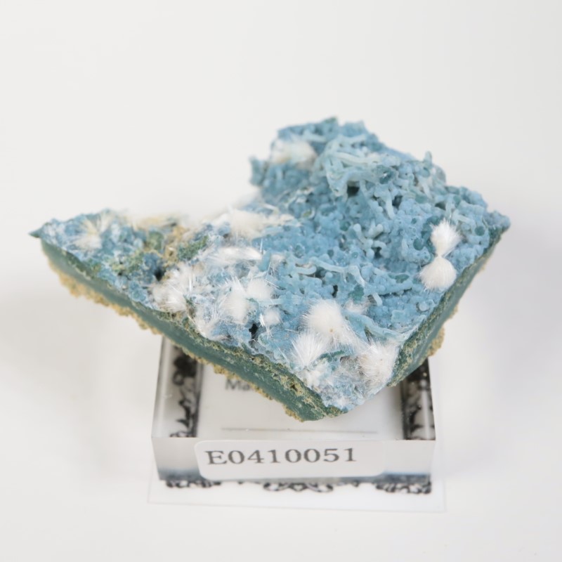 Aurangabad�����֥롼���륻�ɥˡ������ǥʥ���