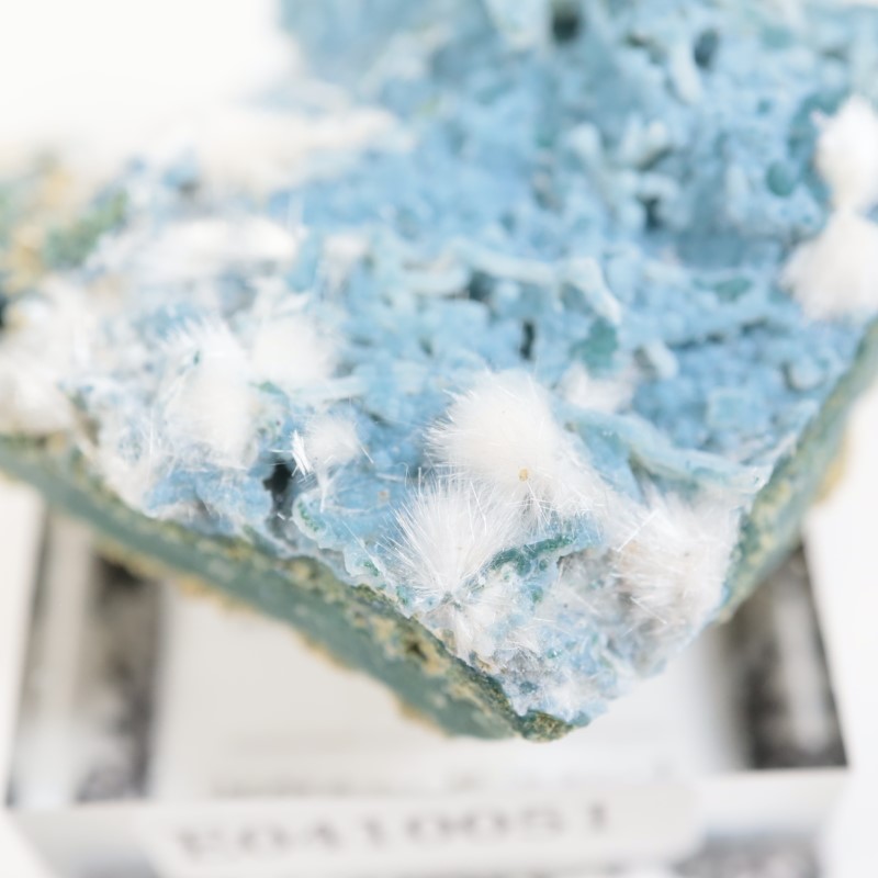 Aurangabad�����֥롼���륻�ɥˡ������ǥʥ���