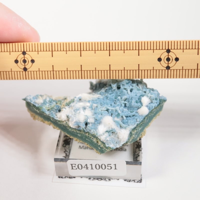 Aurangabad�����֥롼���륻�ɥˡ������ǥʥ���