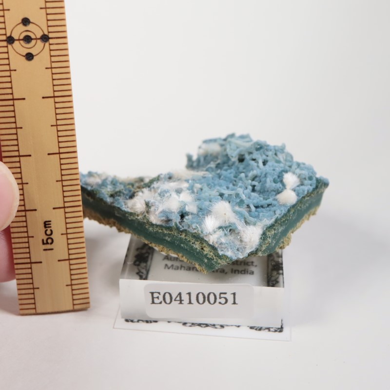 Aurangabad�����֥롼���륻�ɥˡ������ǥʥ���