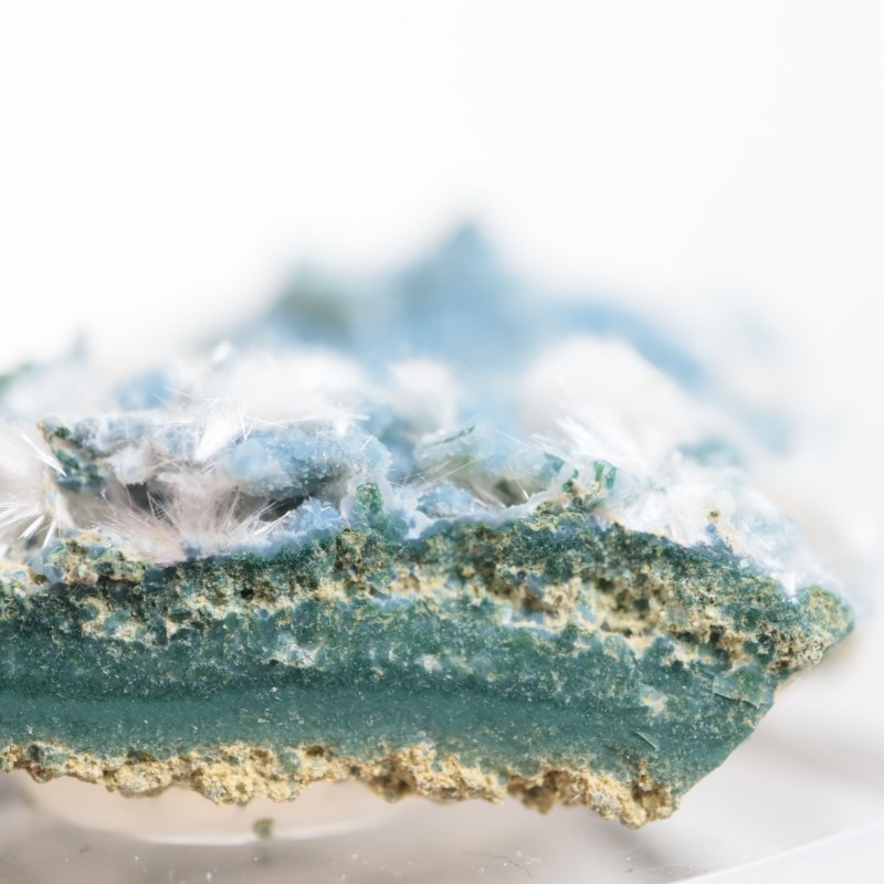 Aurangabad�����֥롼���륻�ɥˡ������ǥʥ���