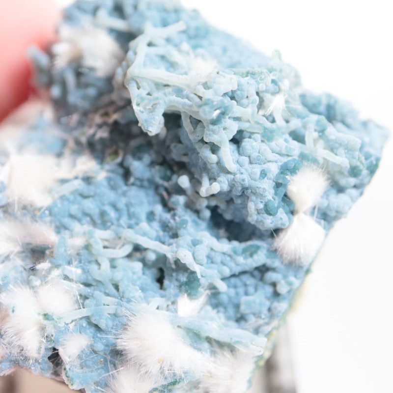 Aurangabad�����֥롼���륻�ɥˡ������ǥʥ���