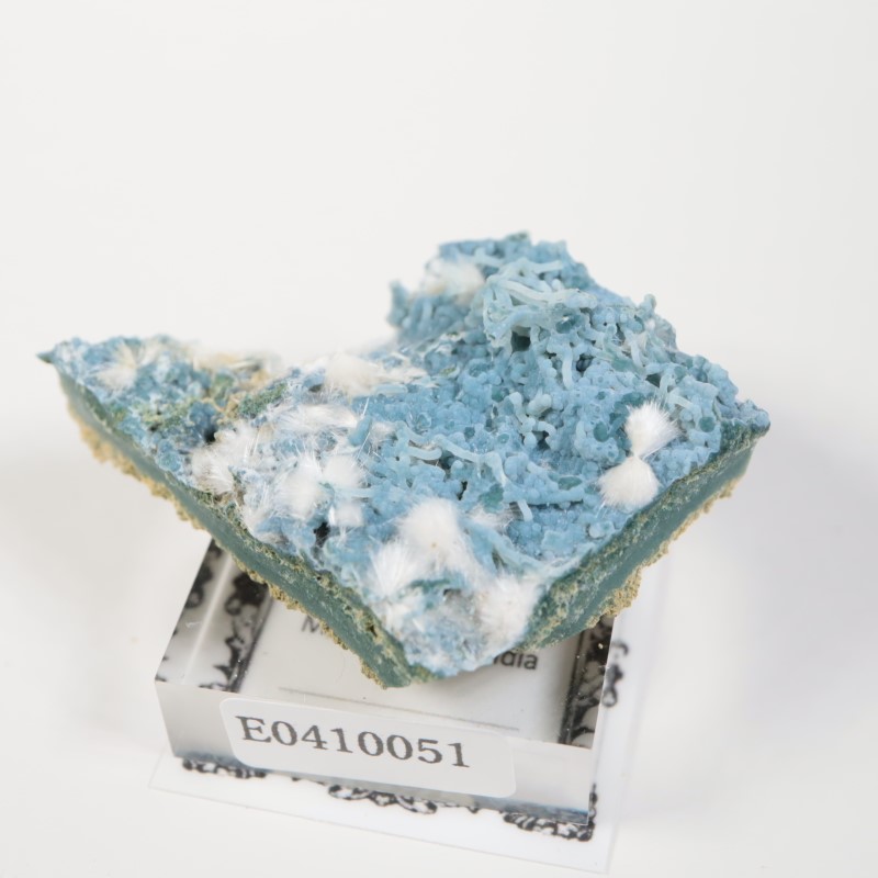 Aurangabad�����֥롼���륻�ɥˡ������ǥʥ���