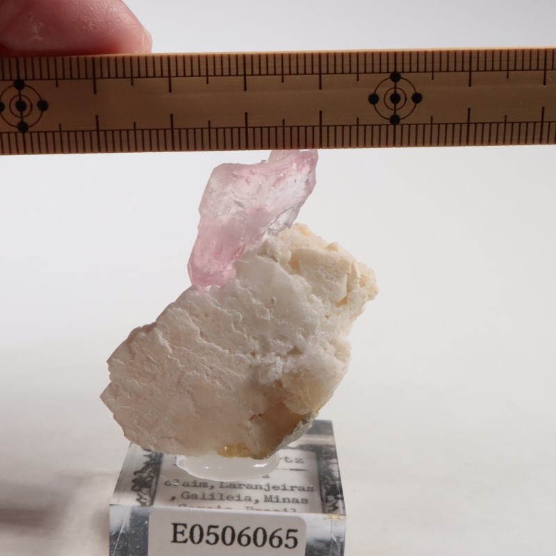 �֥饸�뻺����������������