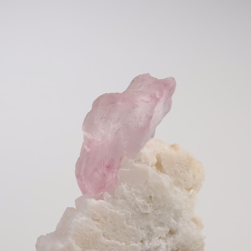 9_000000007398.jpg?1714994275