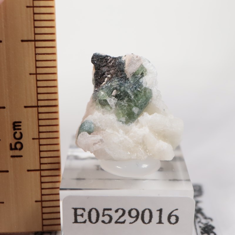 �֥饸�뻺���ȥ�ޥ��