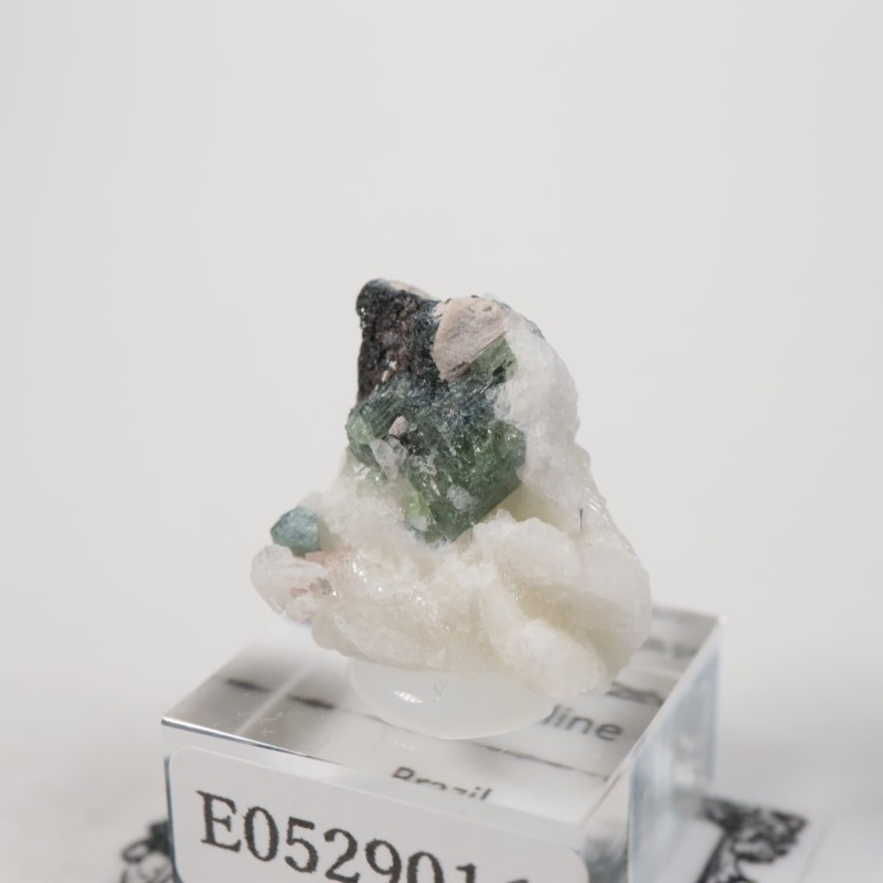 �֥饸�뻺���ȥ�ޥ��