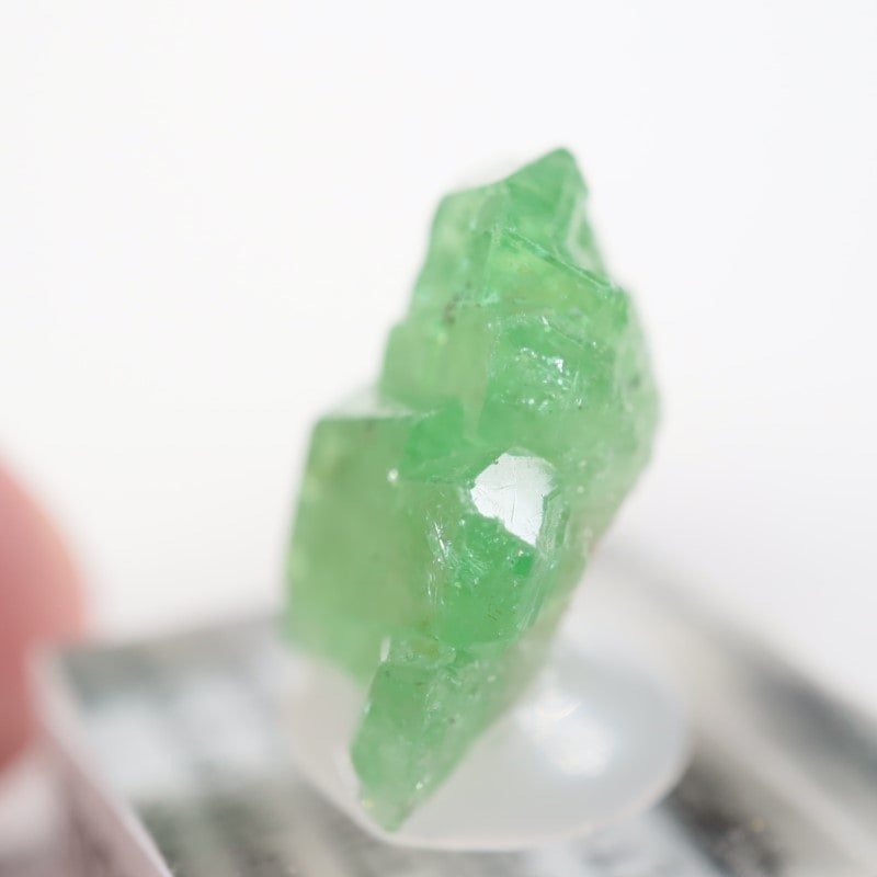 ���󥶥˥��� ��������顼�����ͥå�