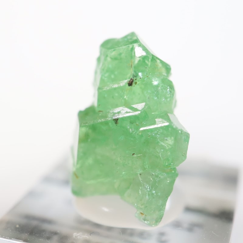 ���󥶥˥��� ��������顼�����ͥå�