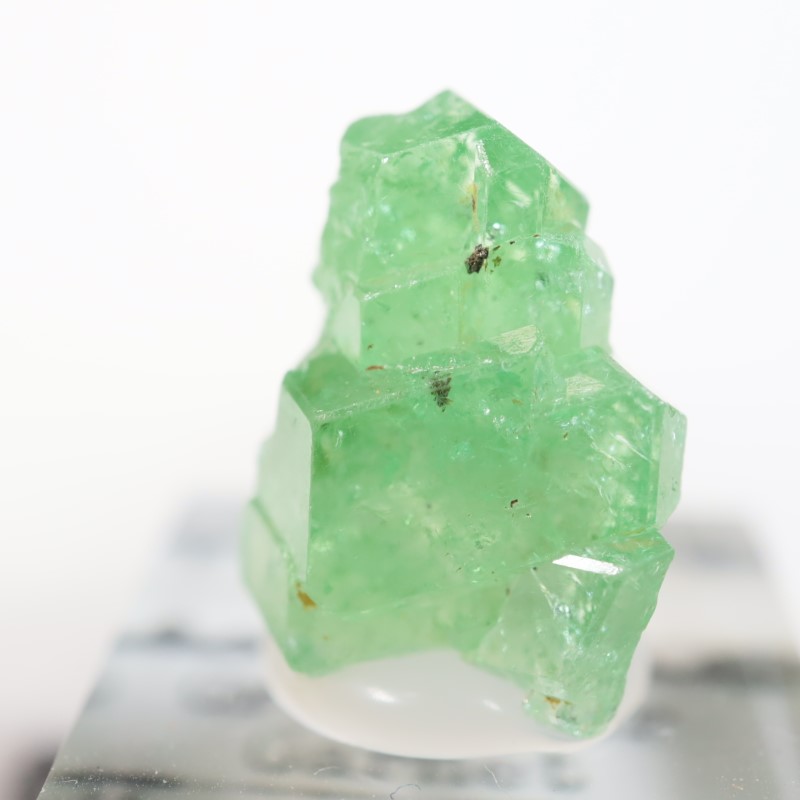 ���󥶥˥��� ��������顼�����ͥå�