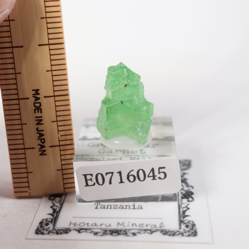 ���󥶥˥��� ��������顼�����ͥå�