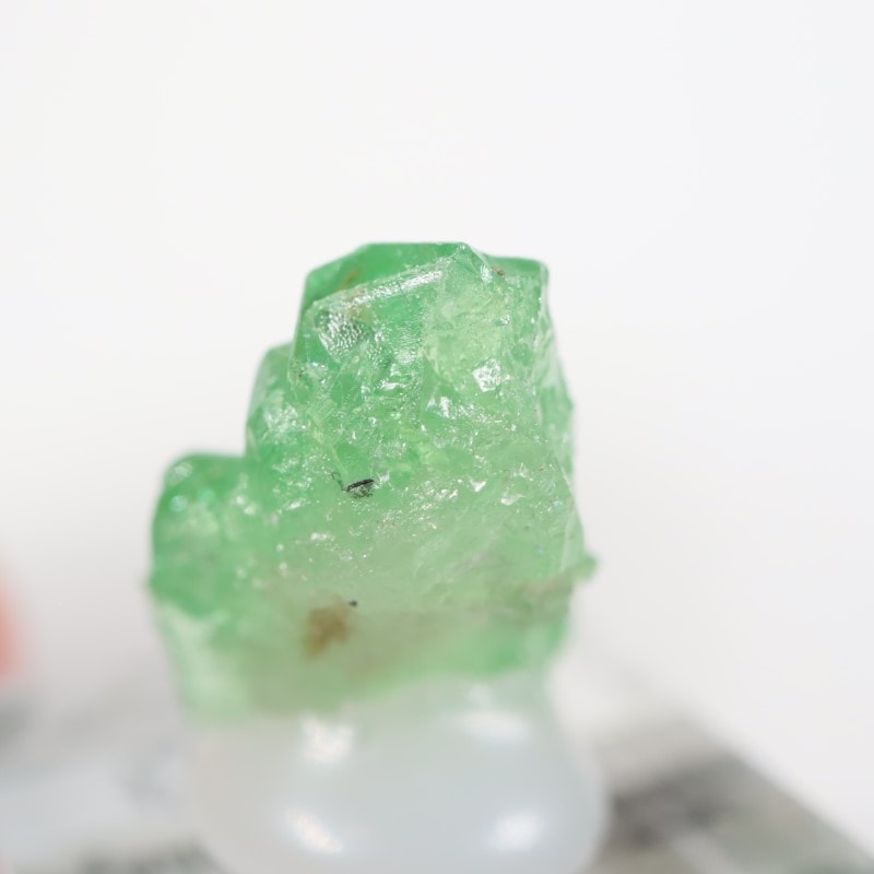 ���󥶥˥��� ��������顼�����ͥå�