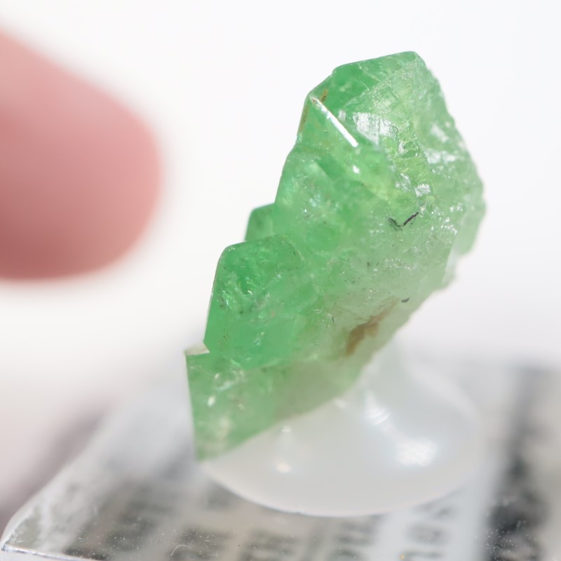 ���󥶥˥��� ��������顼�����ͥå�