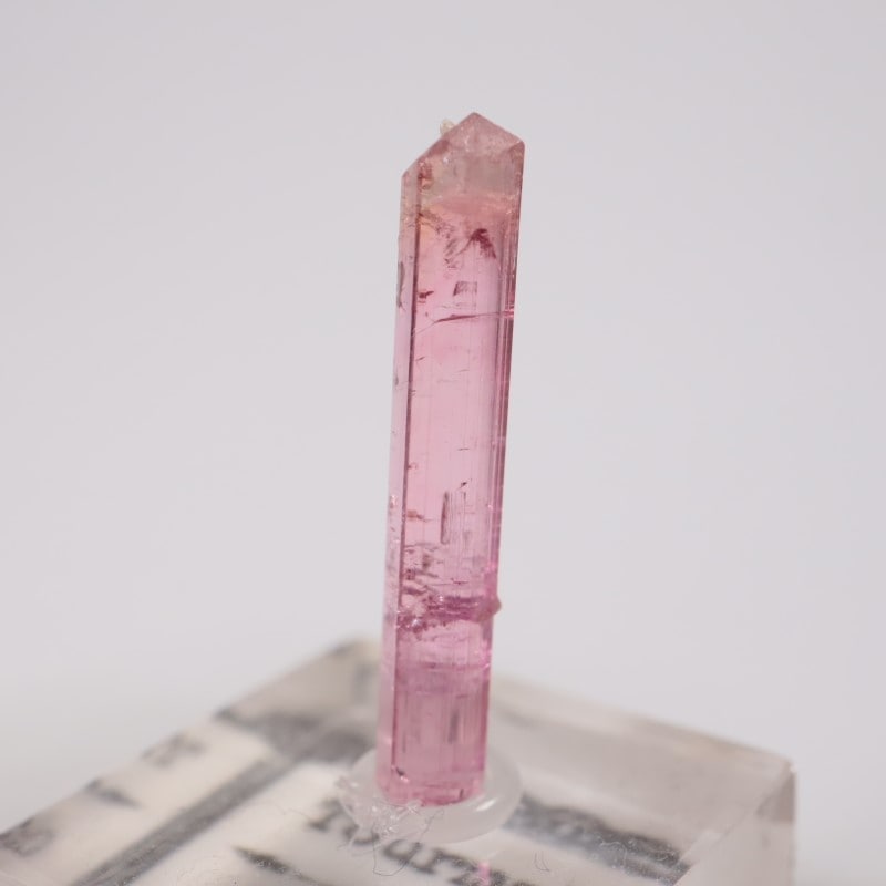 �֥饸�뻺 �ȥ�ޥ��