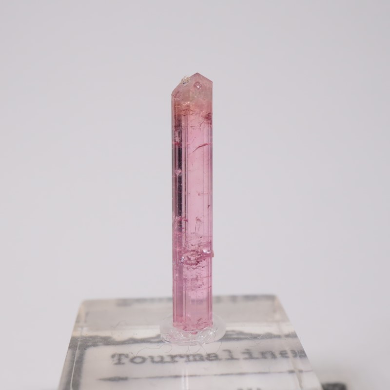 �֥饸�뻺 �ȥ�ޥ��