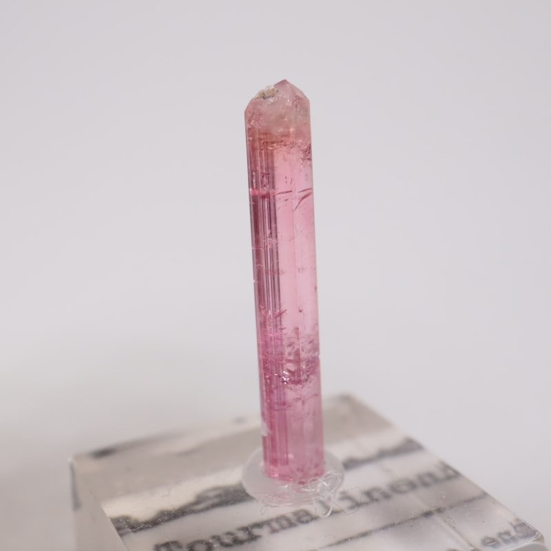 �֥饸�뻺 �ȥ�ޥ��