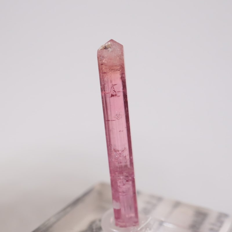 �֥饸�뻺 �ȥ�ޥ��