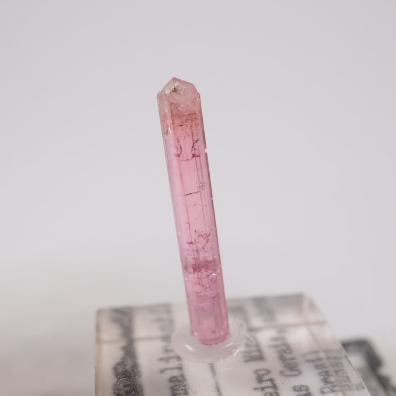 �֥饸�뻺 �ȥ�ޥ��