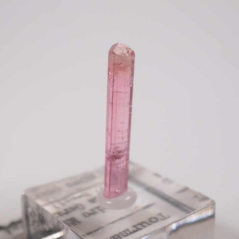 �֥饸�뻺 �ȥ�ޥ��