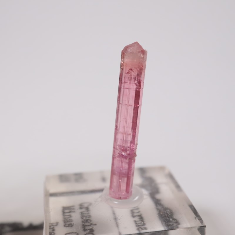 �֥饸�뻺 �ȥ�ޥ��