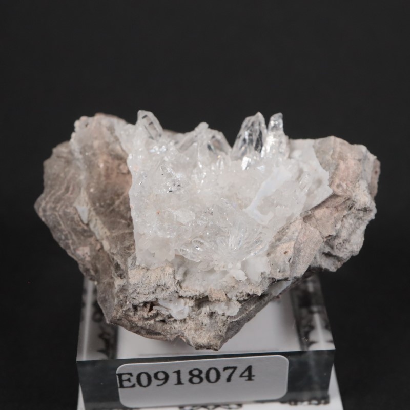 �楿���� ��������