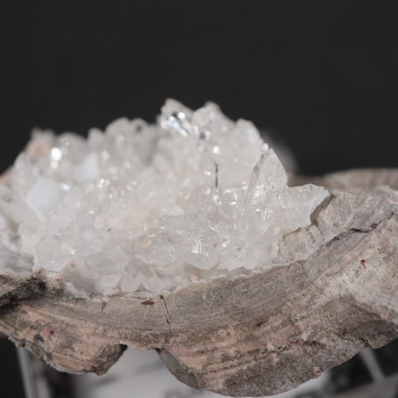 �楿���� ��������