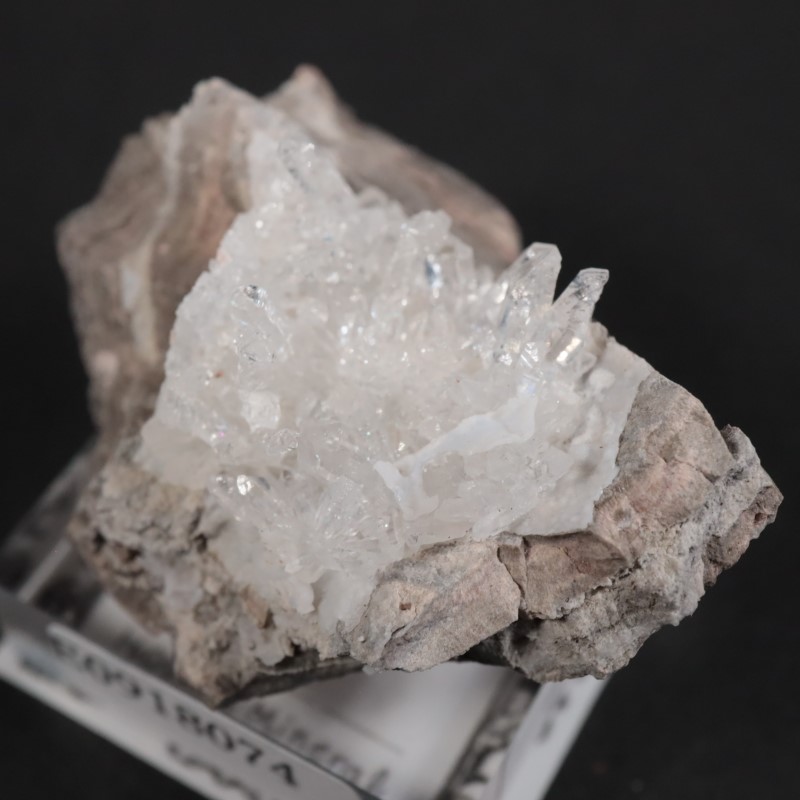 �楿���� ��������