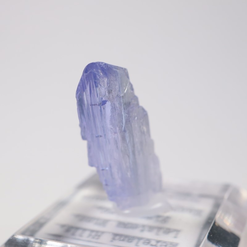 ����˥ҥ륺�� ���󥶥ʥ���