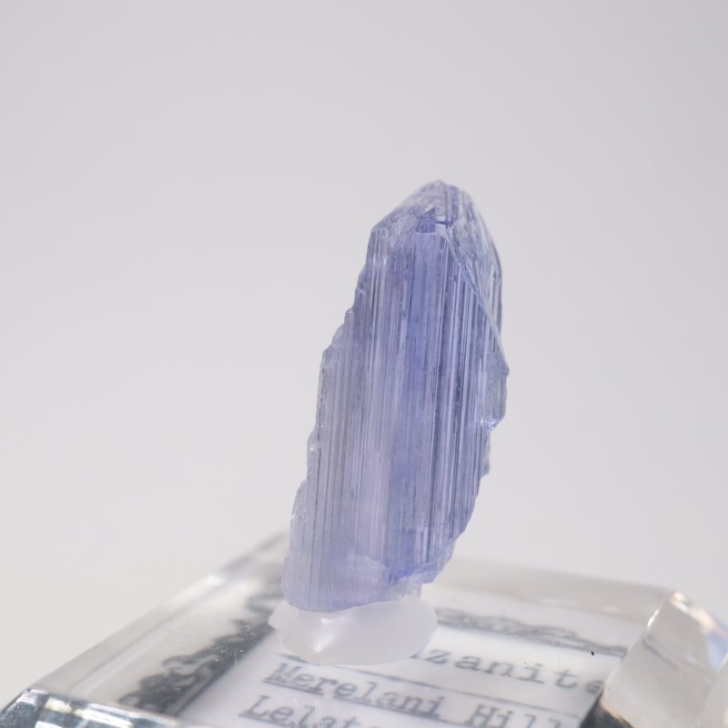 ����˥ҥ륺�� ���󥶥ʥ���