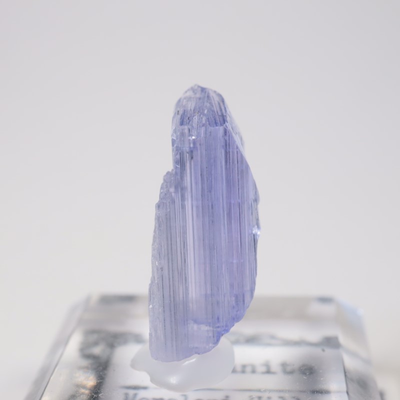 ����˥ҥ륺�� ���󥶥ʥ���