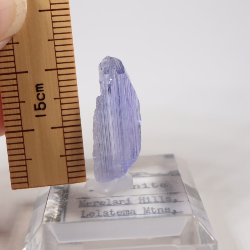 ����˥ҥ륺�� ���󥶥ʥ���