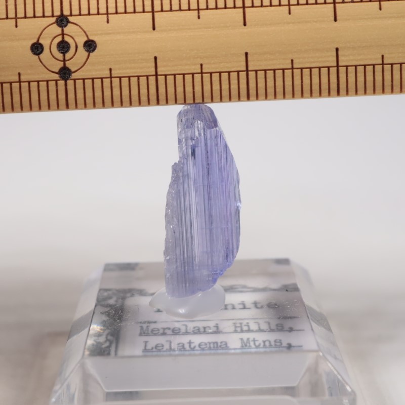 ����˥ҥ륺�� ���󥶥ʥ���