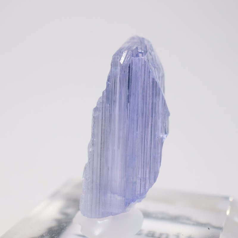 ����˥ҥ륺�� ���󥶥ʥ���