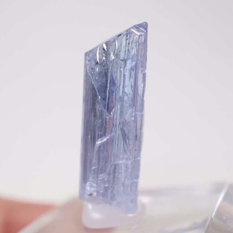 ����˥ҥ륺�� ���󥶥ʥ���